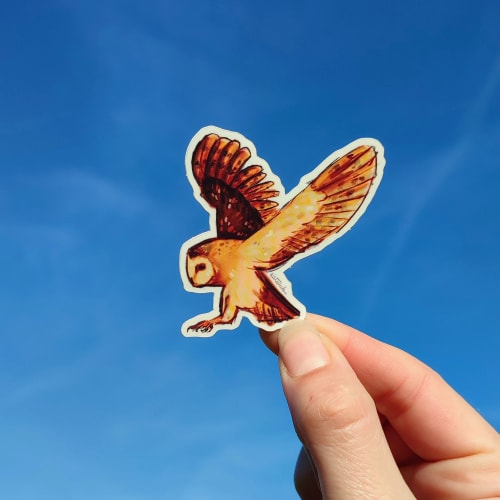 Chouette volante 𓅯