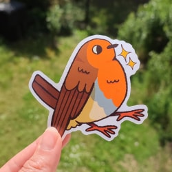 Pack Oiseaux 🐦