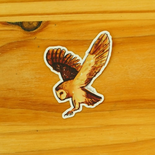 Chouette volante 𓅯