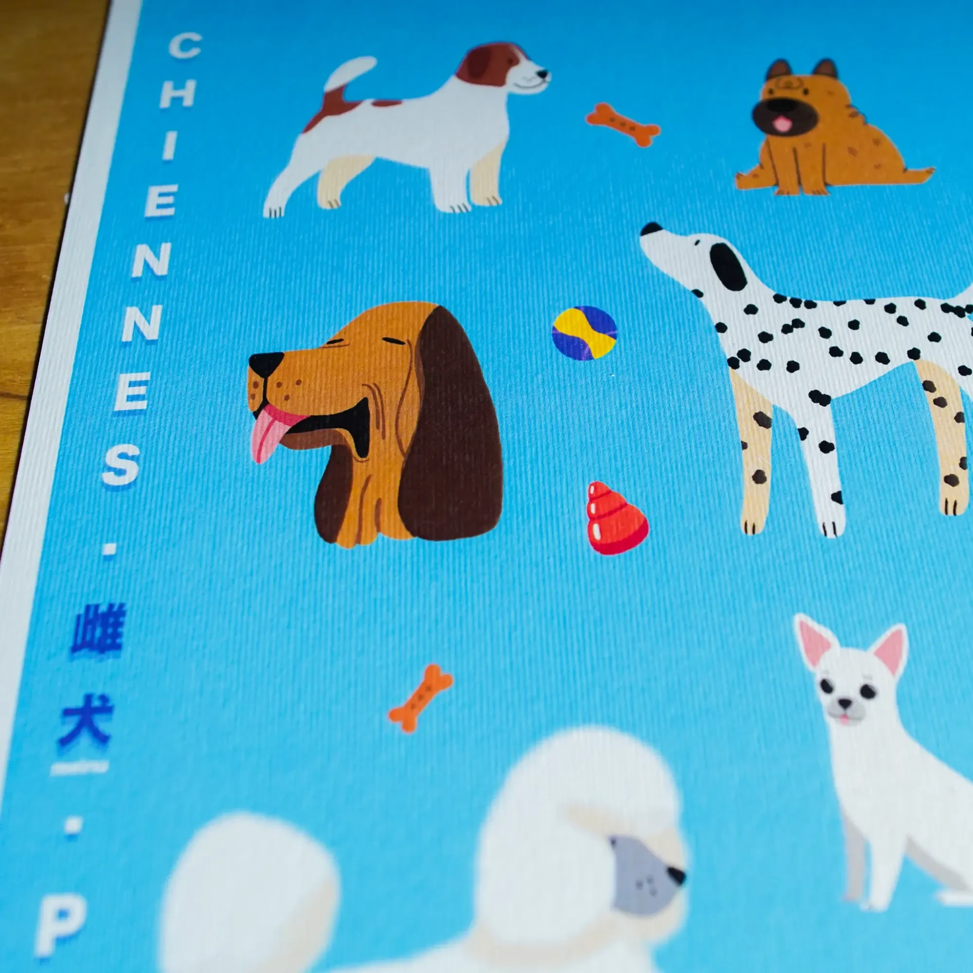 Print Chiennes A4 🐶