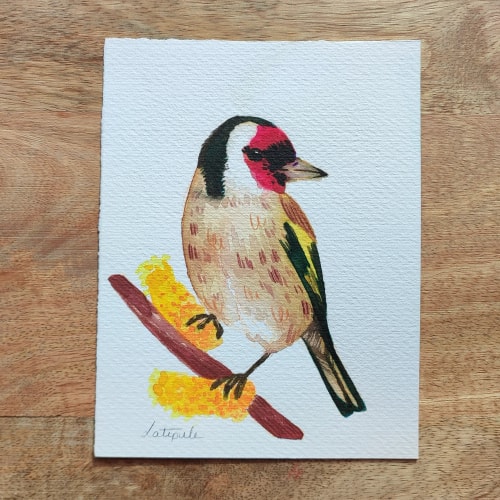 Carduelis - ORIGINAL