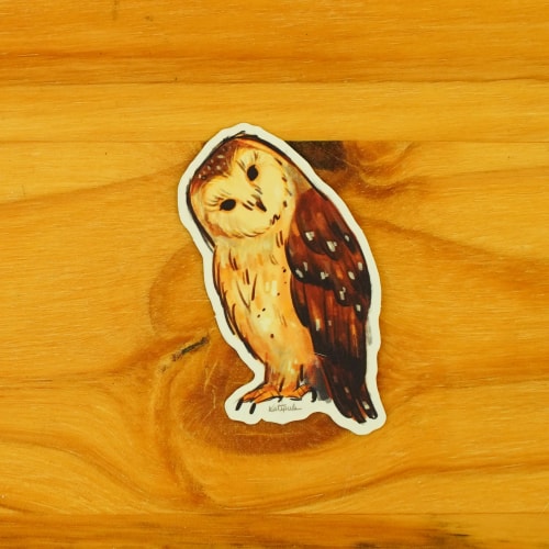 Chouette curieuse 𓅓