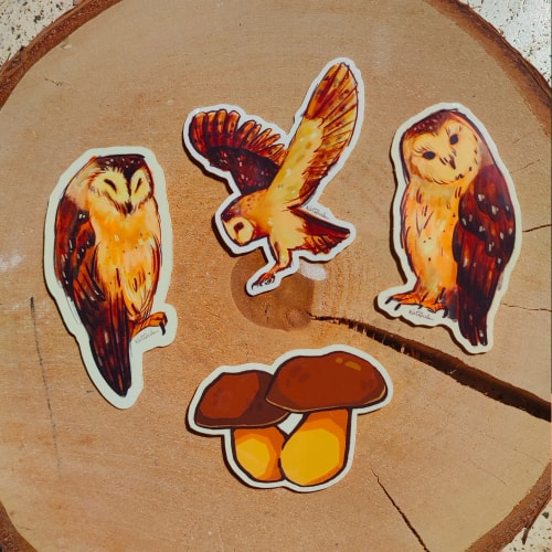 Pack Chouettes