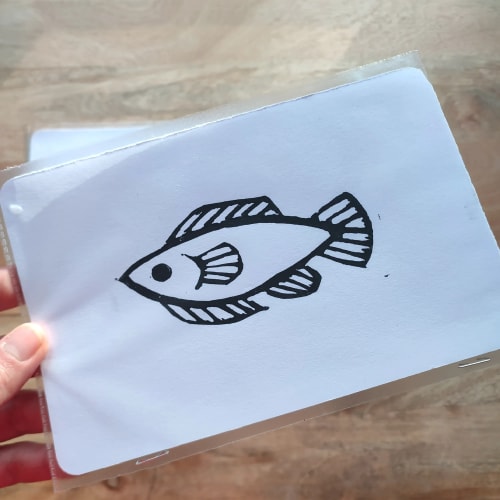 Fish π