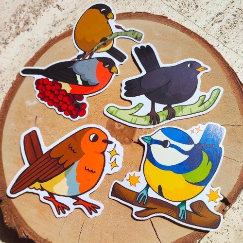 Pack Oiseaux 🐦
