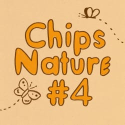 🦋 Chips Nature #4 ʚїɞ