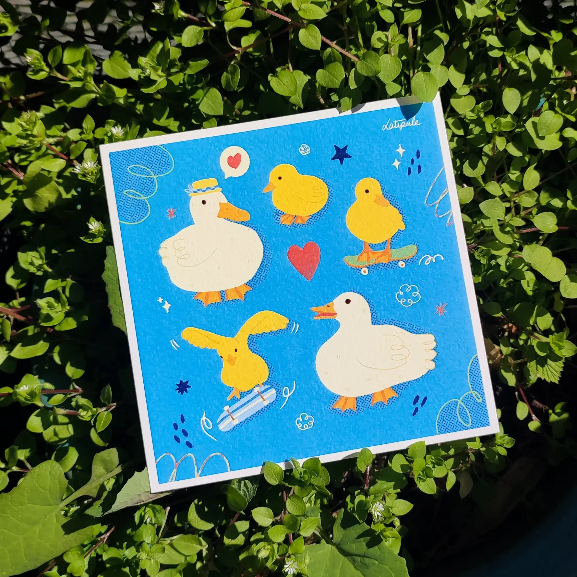 Print Ducks 🦆