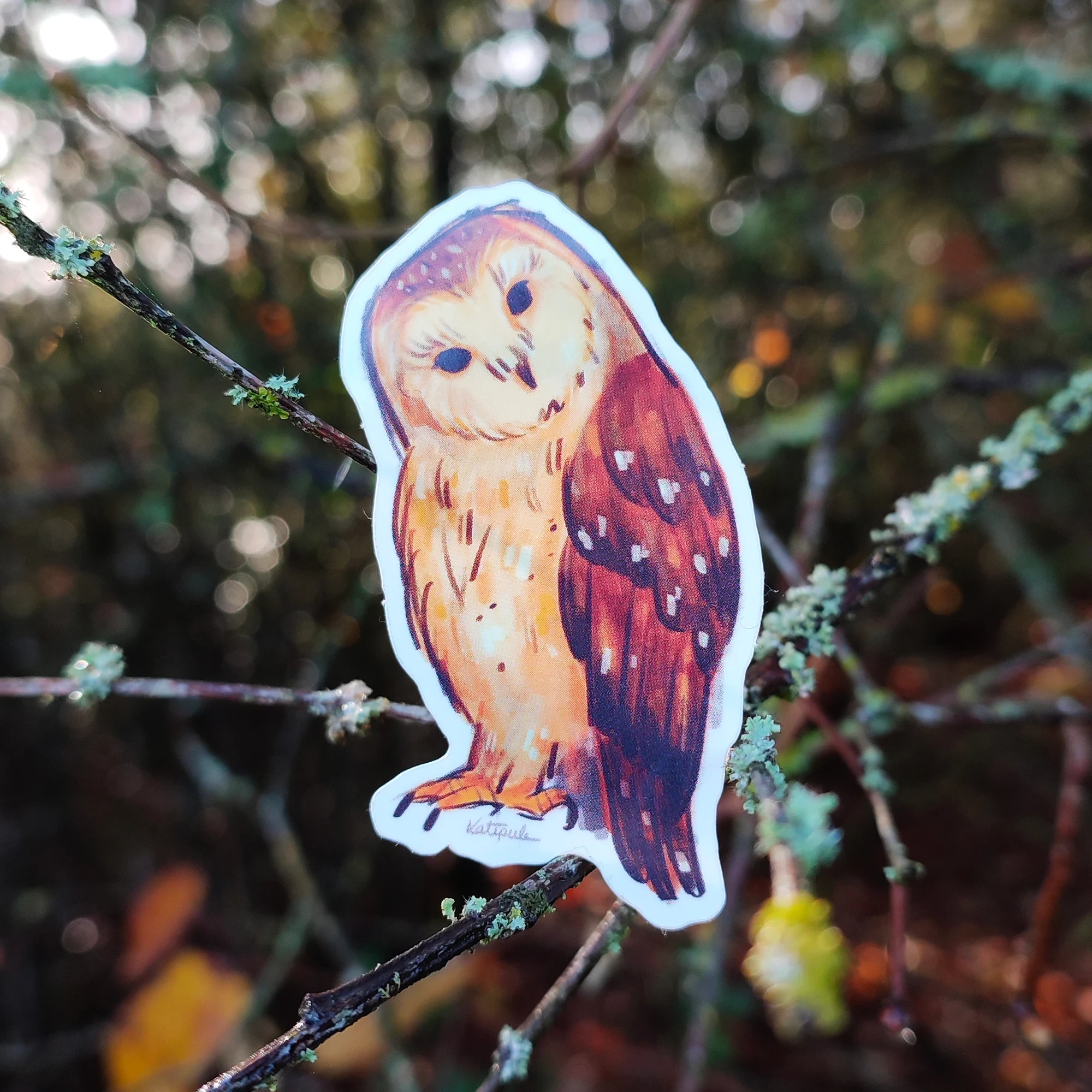 Chouette curieuse 𓅓