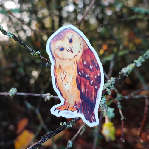 Chouette curieuse 𓅓