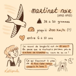 Illustration sur fond beige : texte orange « Chips Nature #3 », accompagné d’une silhouette brune évoquant une chips ou un oiseau en vol.