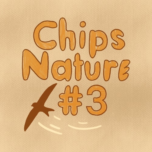 🌬️ Chips Nature #3 ! 𓅪