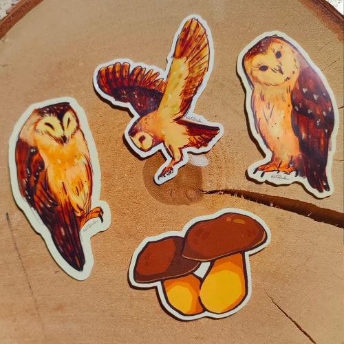 Pack Chouettes