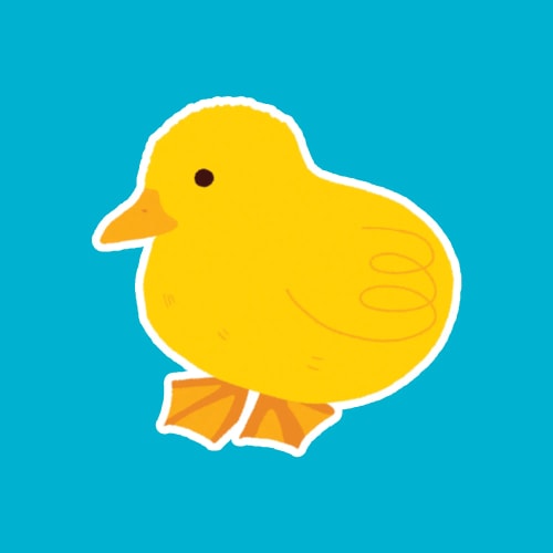 Sticker poussin 🐥