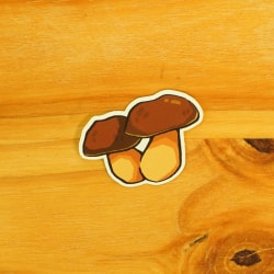 Boletus 𓋼
