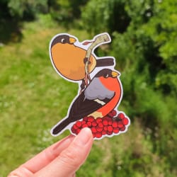Pack Oiseaux 🐦
