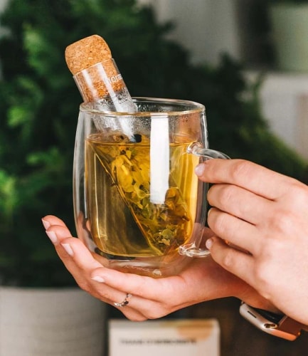 Infuseur HORAE
