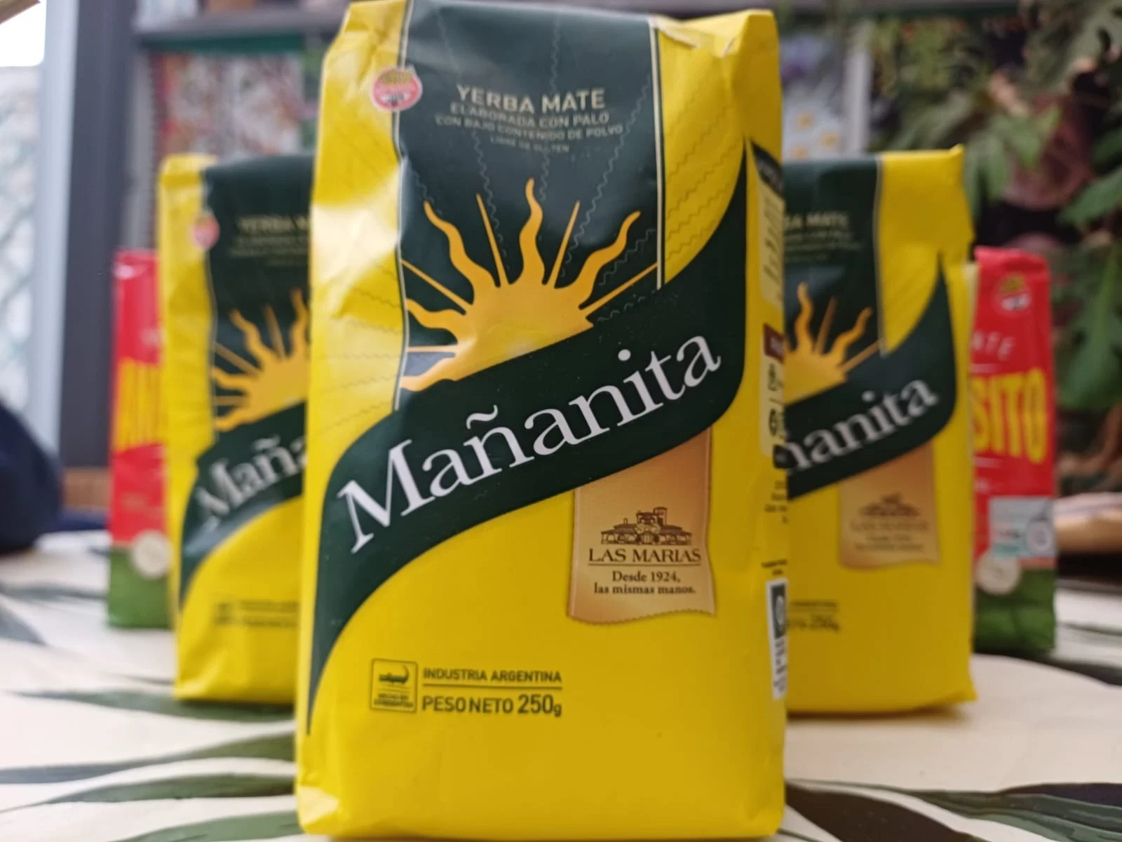 Pack Argentin débutant