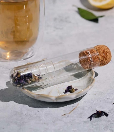 Infuseur HORAE