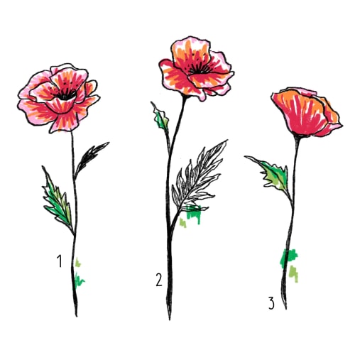 Coquelicot #1