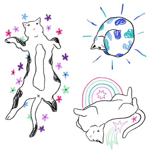 Trois ptits chats #2