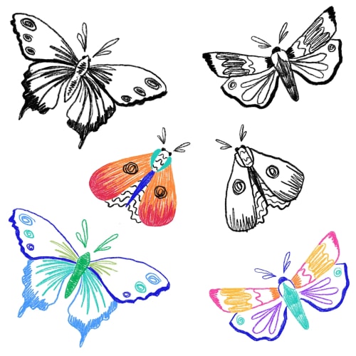 Papillons #1