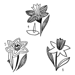 Fleurs #5
