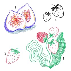 Fruits #1