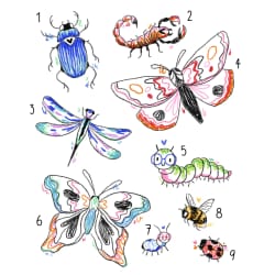 Insectes très mimi