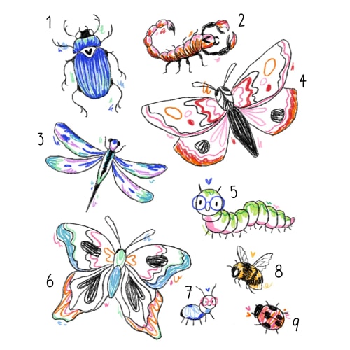 Insectes très mimi