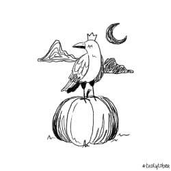 Corbeau sur courge