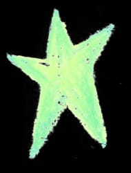 Une étoile à cinq branches dessinée au crayon pastel de couleur vert clair sur fond blanc.