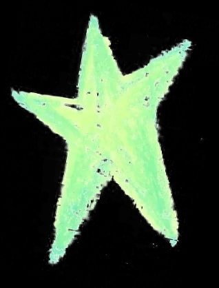 Une étoile à cinq branches dessinée au crayon pastel de couleur vert clair sur fond blanc.