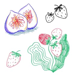 Fruits #1