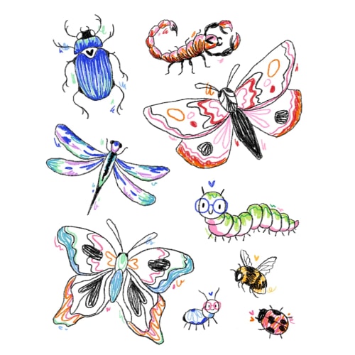 Insectes très mimi