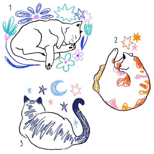 Trois ptits chats #1