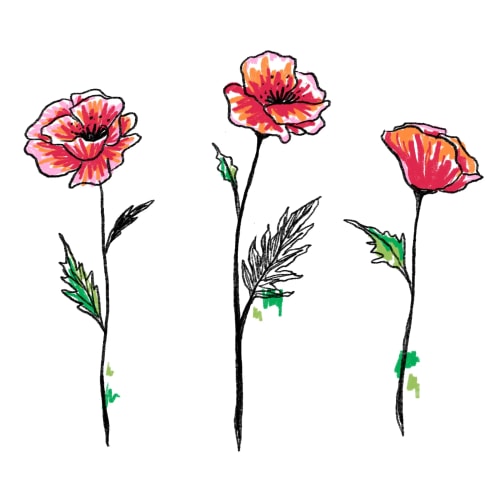 Coquelicot #1