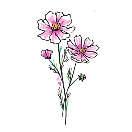 Cosmos
