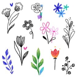 Fleurs #1