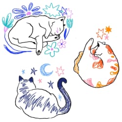 Trois ptits chats #1