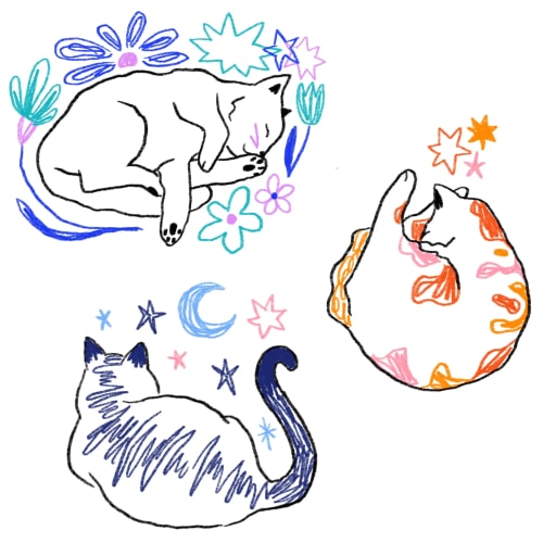 Trois ptits chats #1