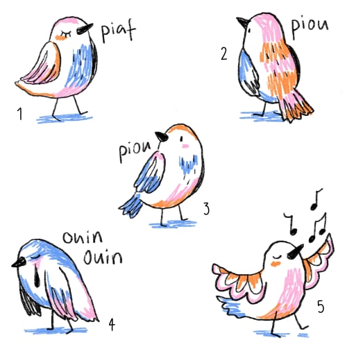 Piou