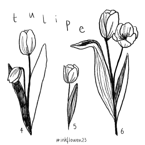 Tulipes