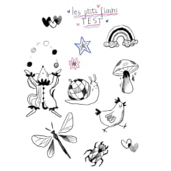 Ptits flashs gris