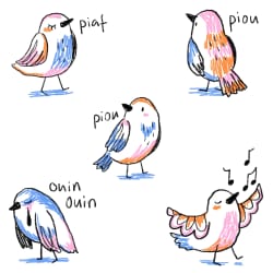 Piou
