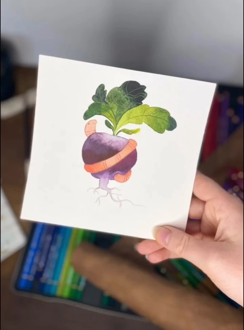 24-Radish