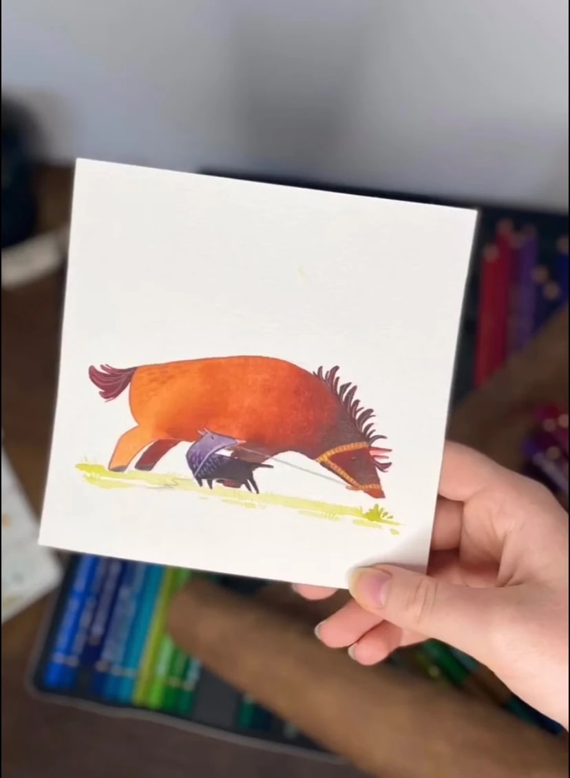 28-Pony
