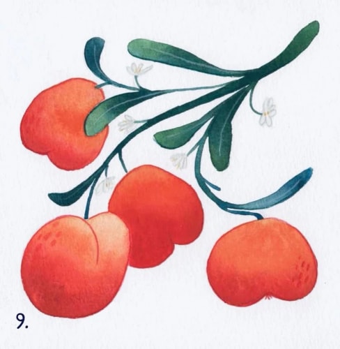 09-Apricot