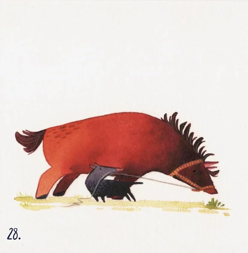 28-Pony