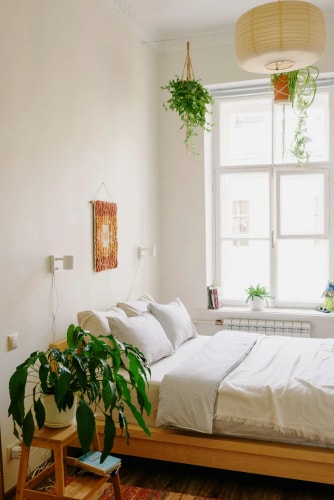 Chambre à coucher lumineuse avec un lit confortable, des plantes suspendues, et une décoration minimaliste sur les murs, pour représenter la chambre parentale Feng Shui