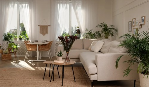 Un salon lumineux et moderne avec un canapé beige, une table basse en bois, des plantes d'intérieur, et une salle à manger à l'arrière-plan, pour illustrer le service de design signature